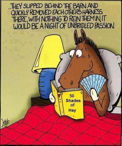 ppp-horse-in-bed.jpg
